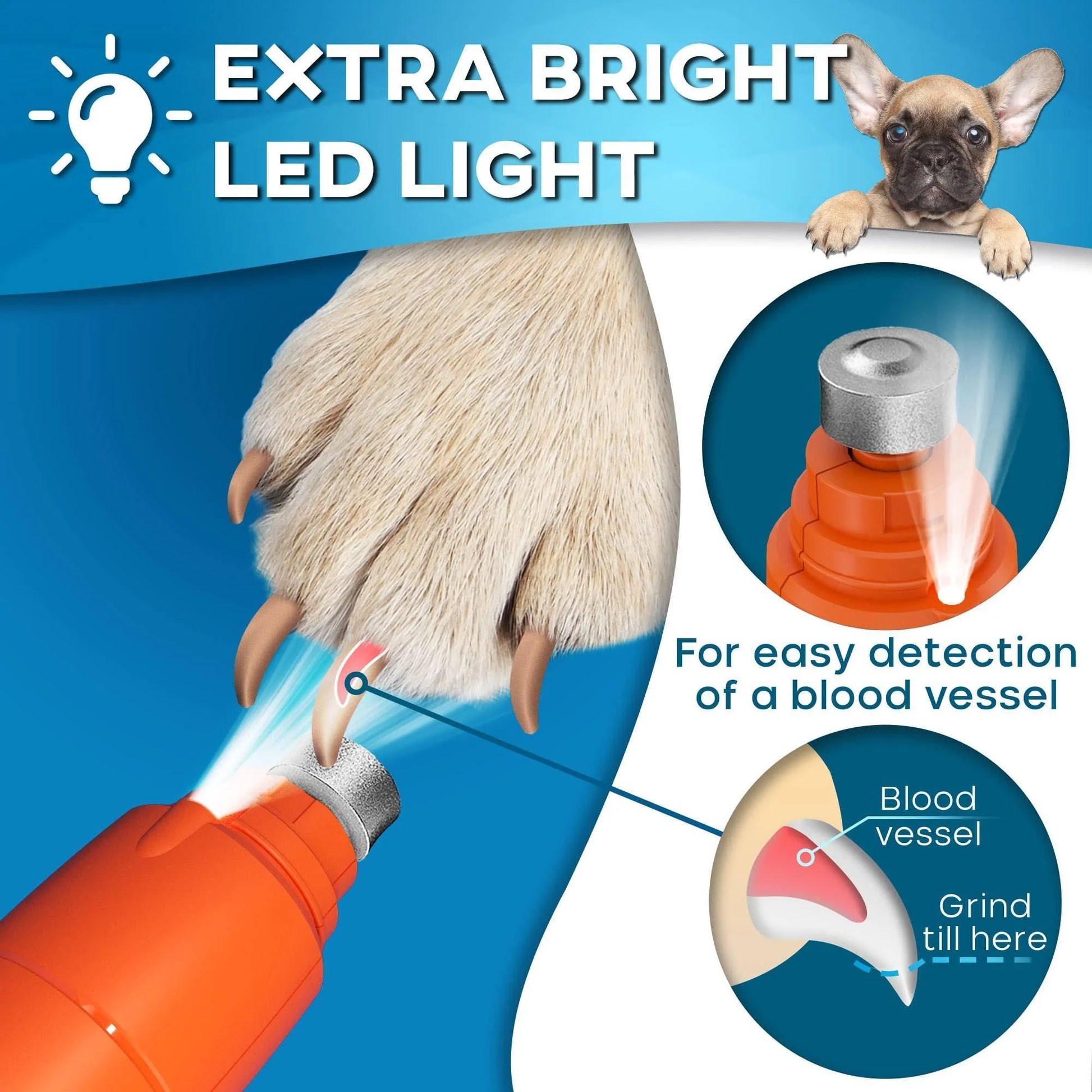 Dog Nail Grinder with LED Light Rechargeable for Large Medium & Small Dogs